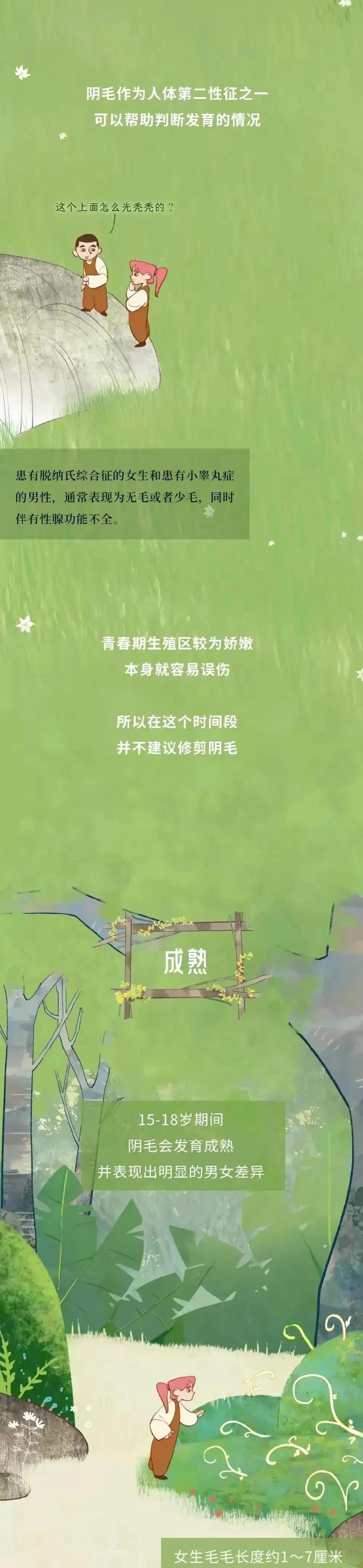 人类阴毛从出生到脱落的全过程