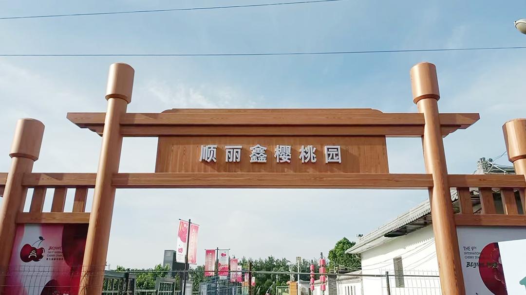 顺义喜邦樱桃采摘园,顺义千亩樱桃采摘园视频