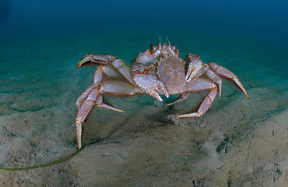 一年工作15天工资50万,一年赚28万工作一周40小时