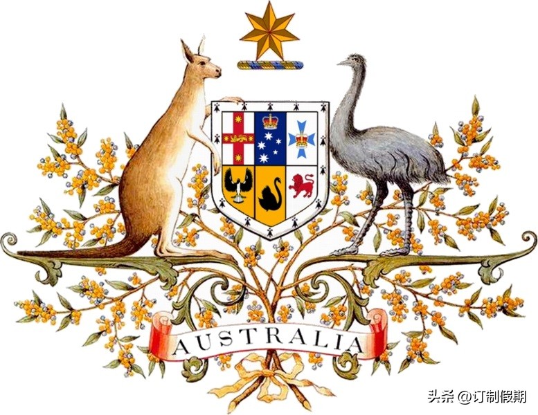 鹈鹕军用飞机,鹈鹕直升机