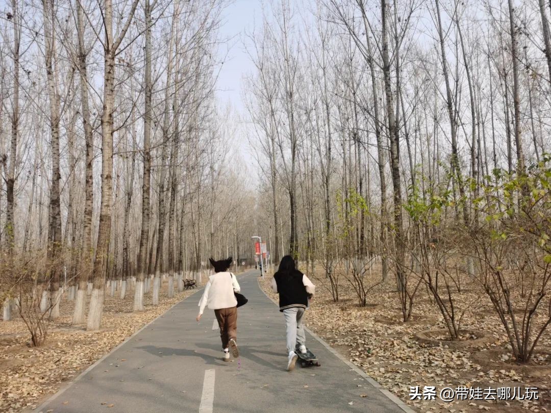 在森林公园里玩耍,中国可以骑行的森林公园