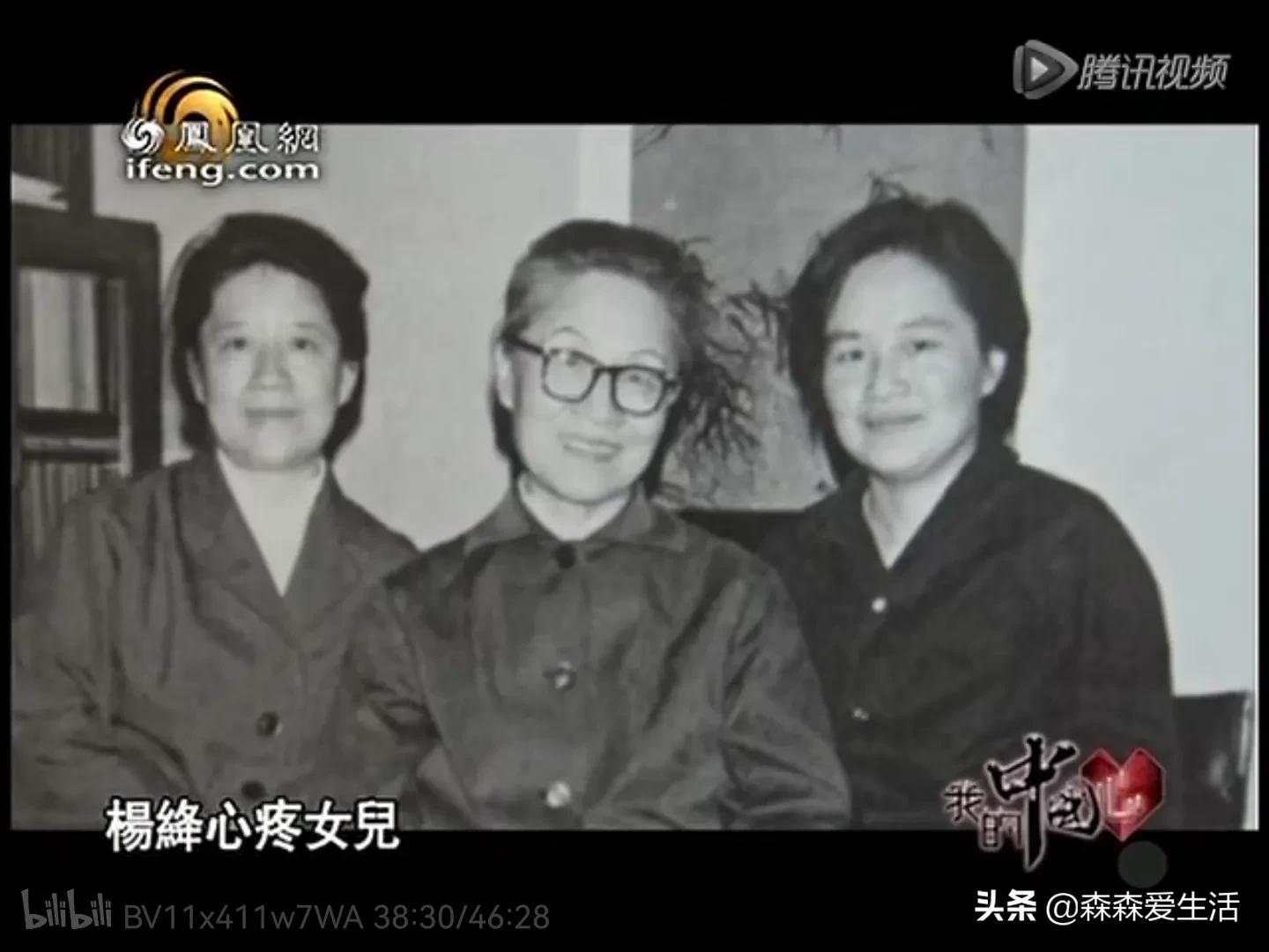 司马南说知识分子杨绛,司马南说杨绛先生