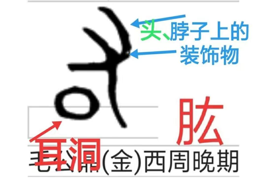 山海经2012白话全译彩图版pdf,山海经海外西经是指哪里