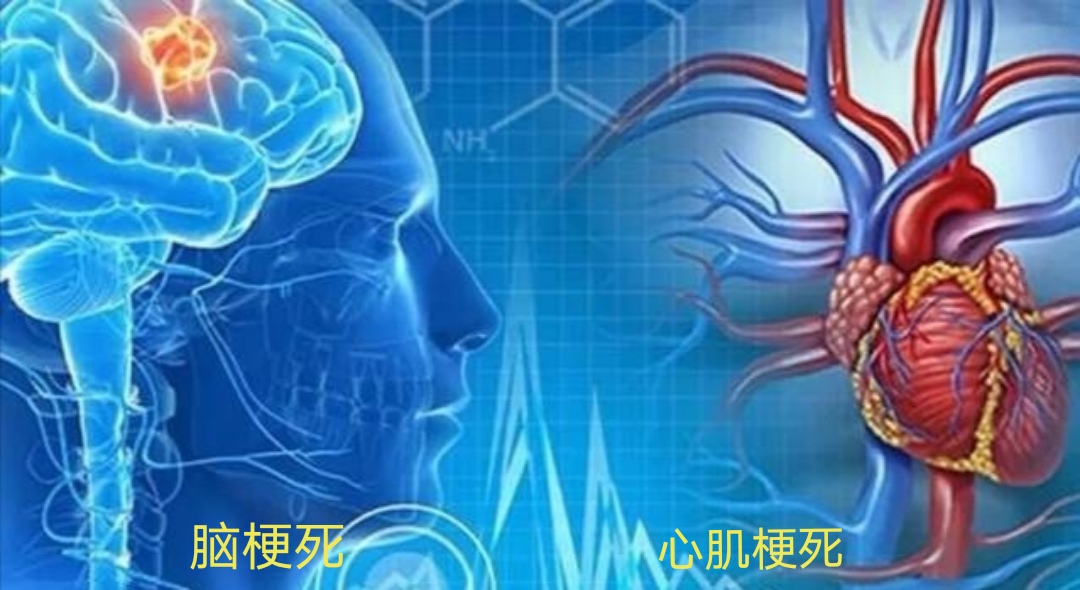 有脑梗的人甘油三酯应控制在多少,脑梗病人甘油三酯多少是正常