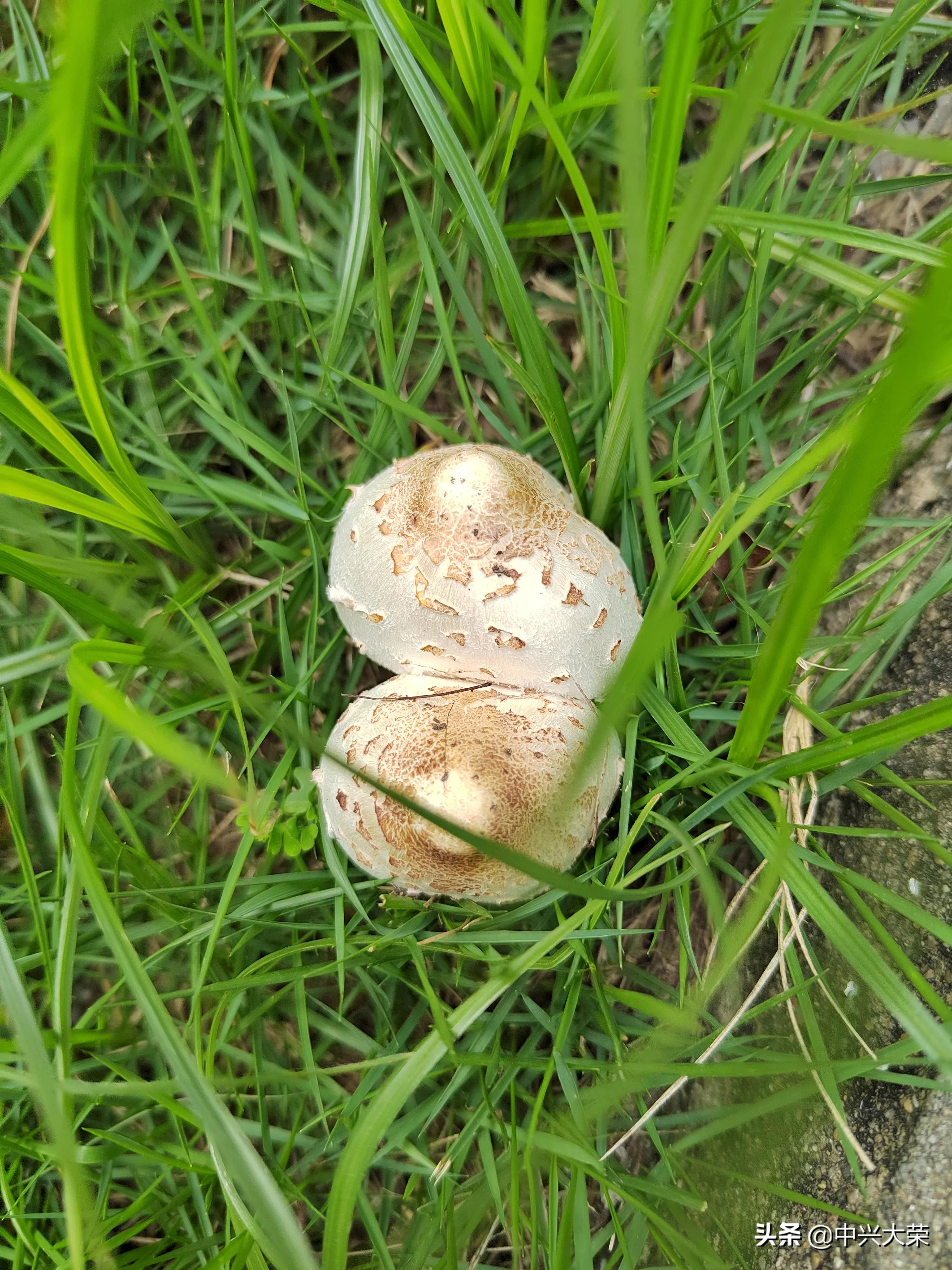 想踢一场足球比赛,渴望一场