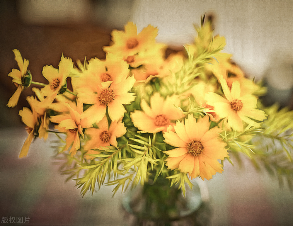 趣味猜字大升级小游戏,猜字谜小游戏包括答案视频