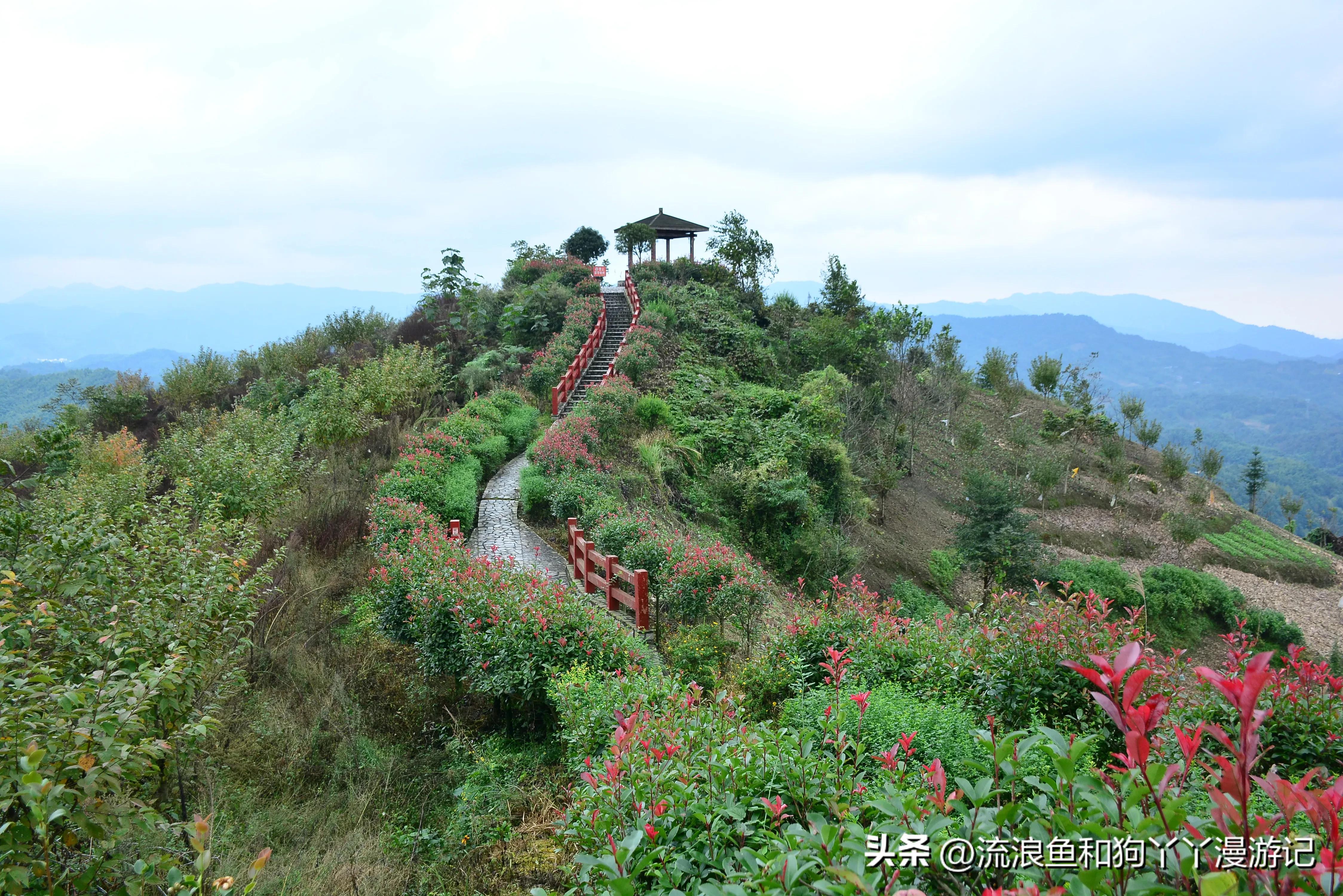 四月份成都近郊一日游好去处,2022成都近郊看雪一日游最佳去处