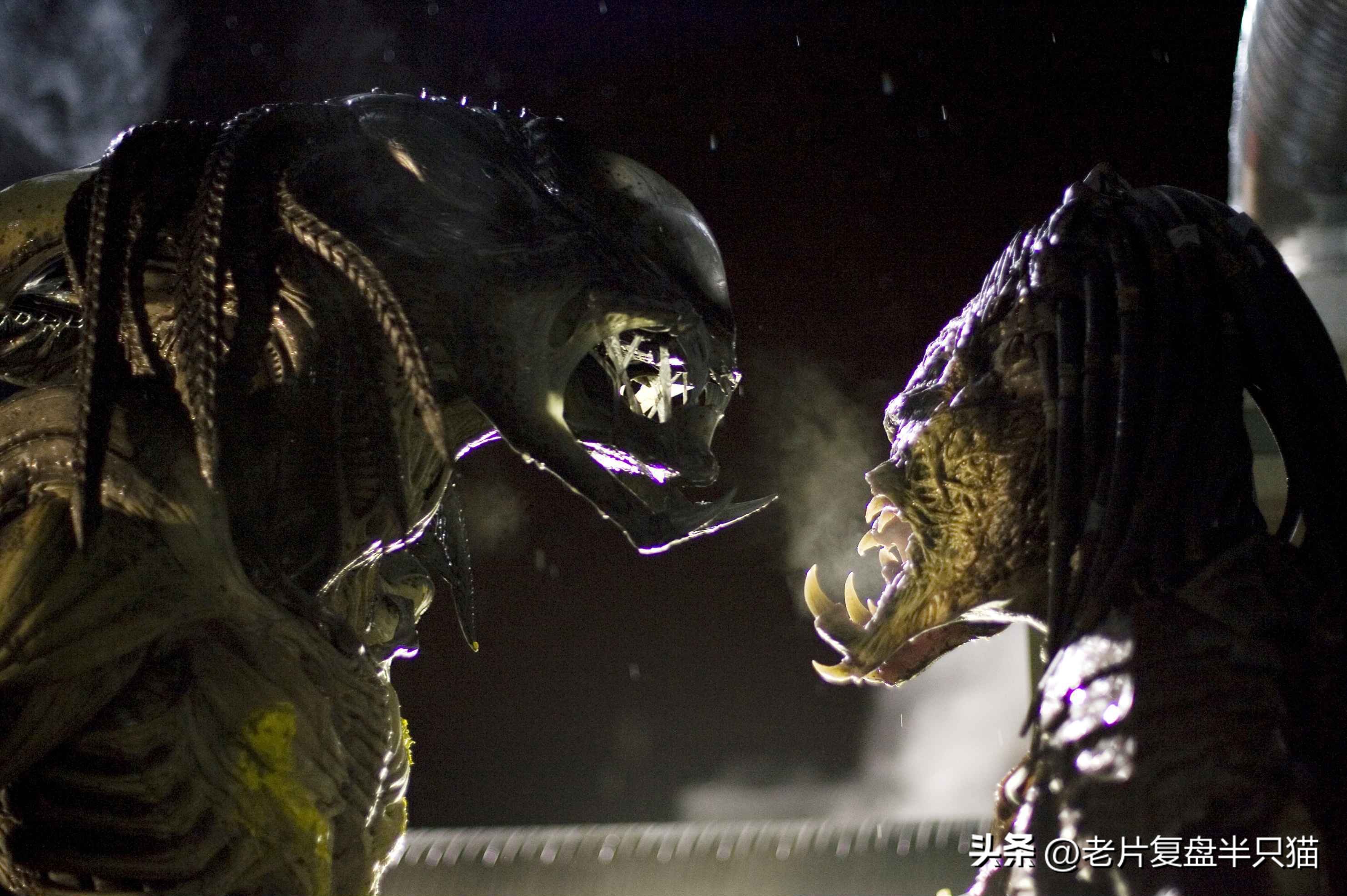 铁血战士系列和异形系列,铁血战士进化铁血异形