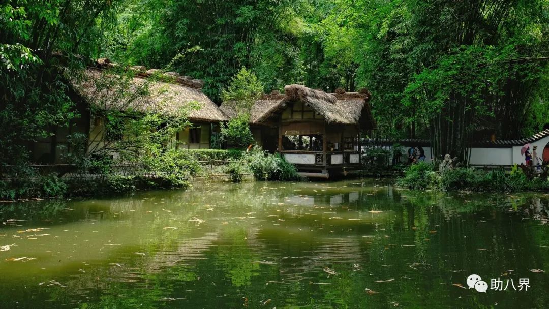 成都高新区景点打卡,成都网红桥打卡景点