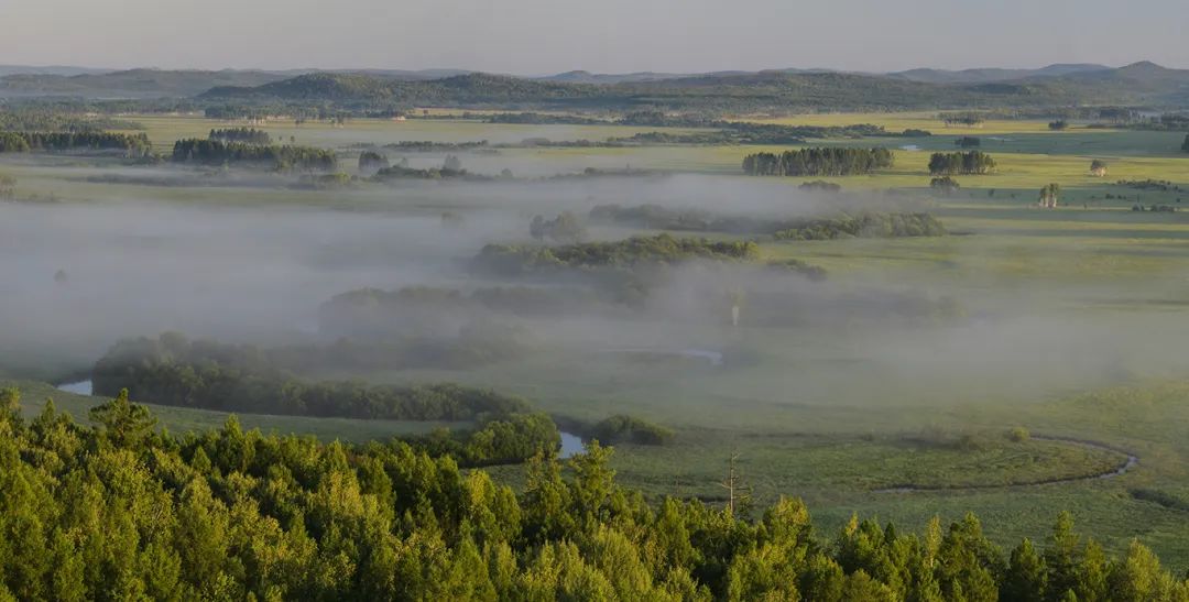 湿地游玩,湿地可以开发什么旅游项目