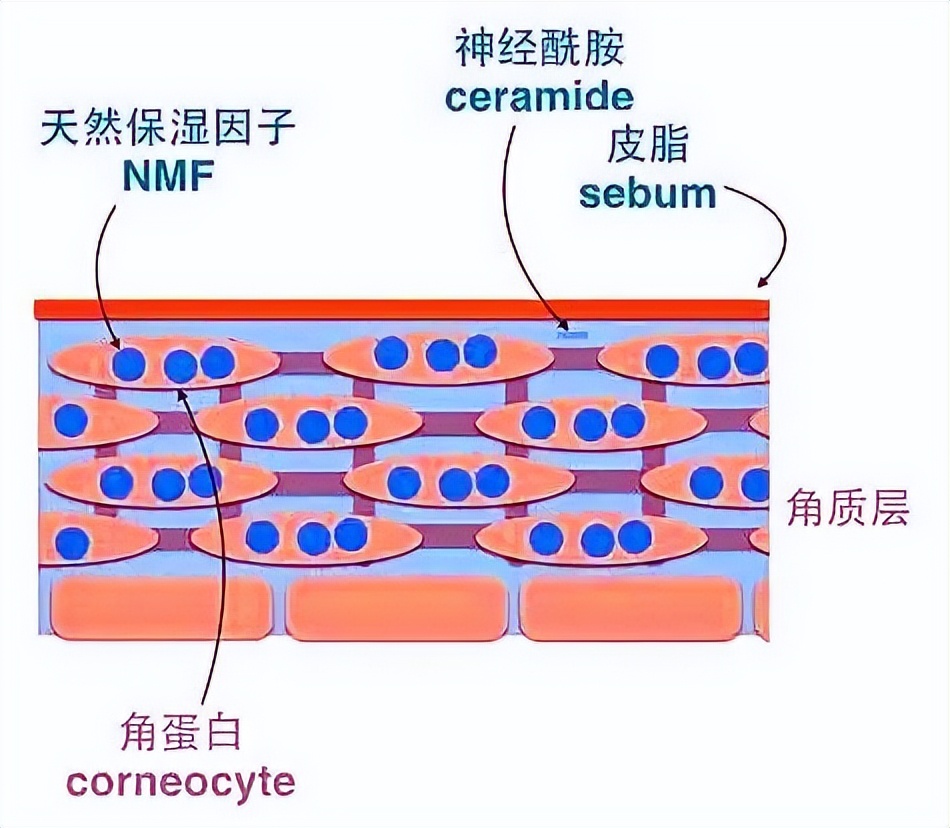 一到秋冬季双手就脱皮怎么治疗,一到春天手心就开始干燥脱皮