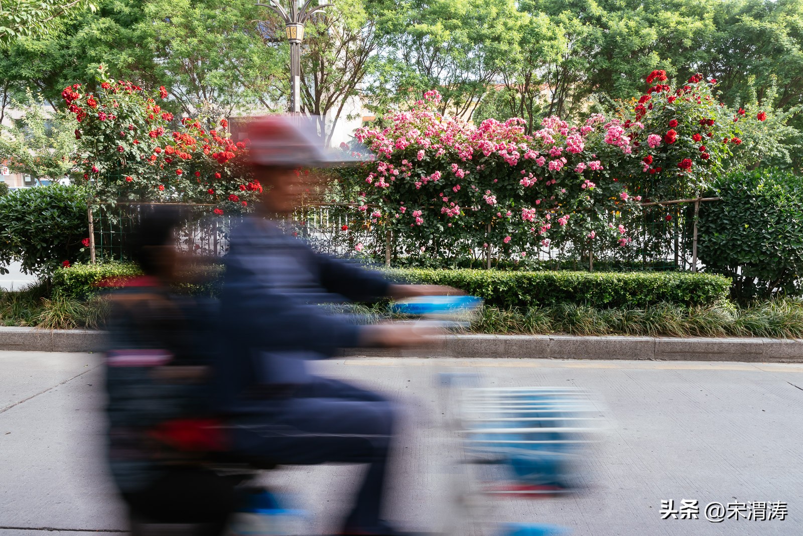 宋姓起源,山西洪洞宋姓起源