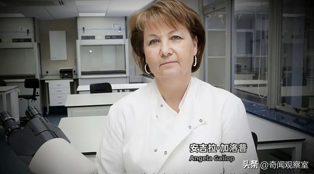 英国历史离奇失踪事件,英国2010年以内发生什么事情