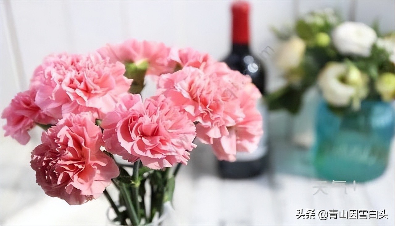 前景好的4个农村创业项目,十大适合目前农村创业的项目