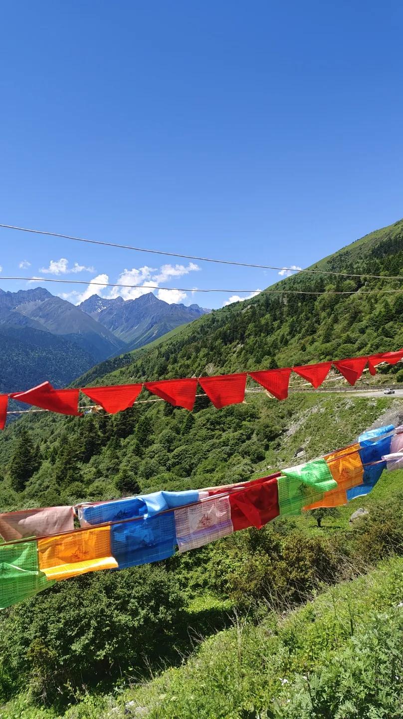 四川四姑娘山双桥沟图片,四姑娘山双桥沟最新视频