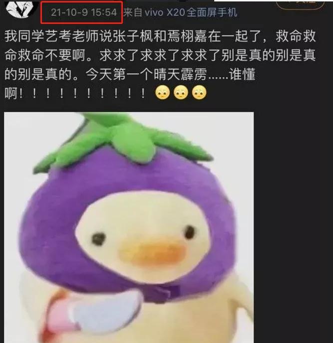 焉栩嘉张子枫什么时候在一起的,焉栩嘉张子枫怎么公开的