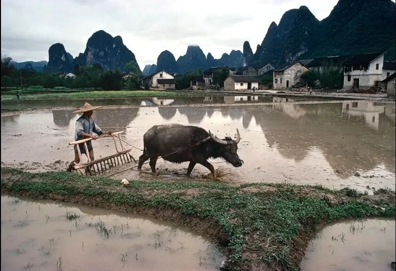 真的也能拍？难道大师只是空有头衔？