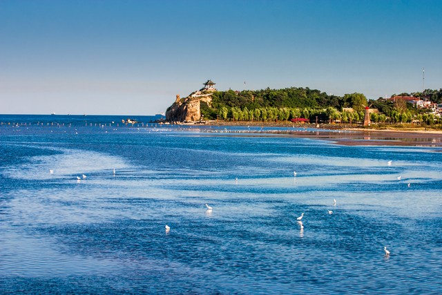 为什么北戴河能疗养,北戴河是一个很好的疗养圣地