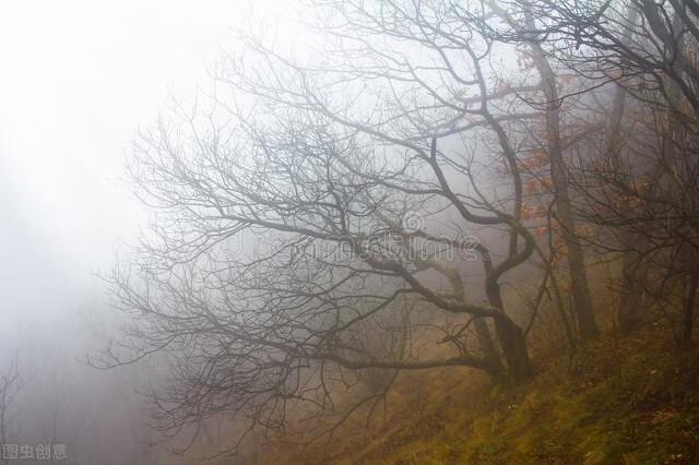心灵鸡汤情感树洞,关于挫折和压力的心灵鸡汤