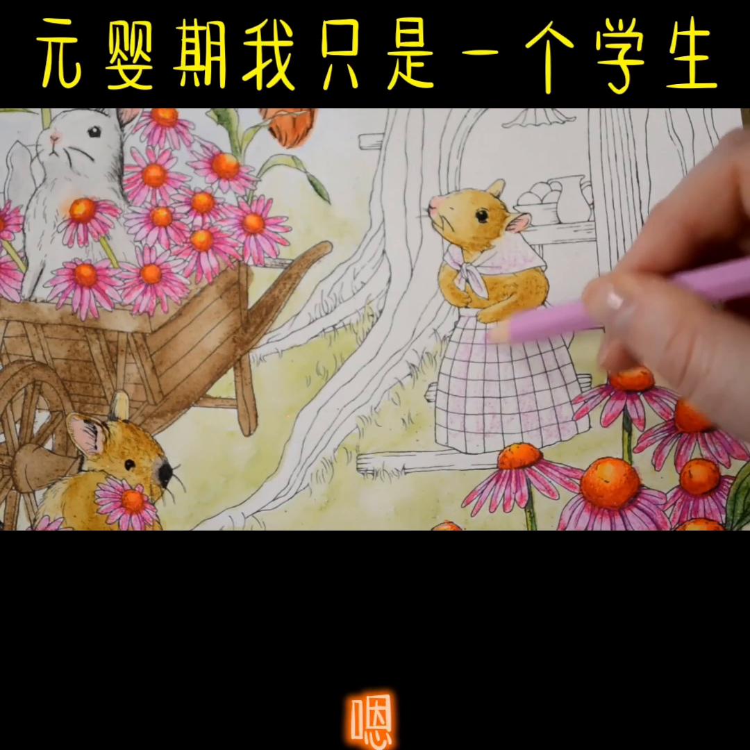 番茄小说,番茄小说网