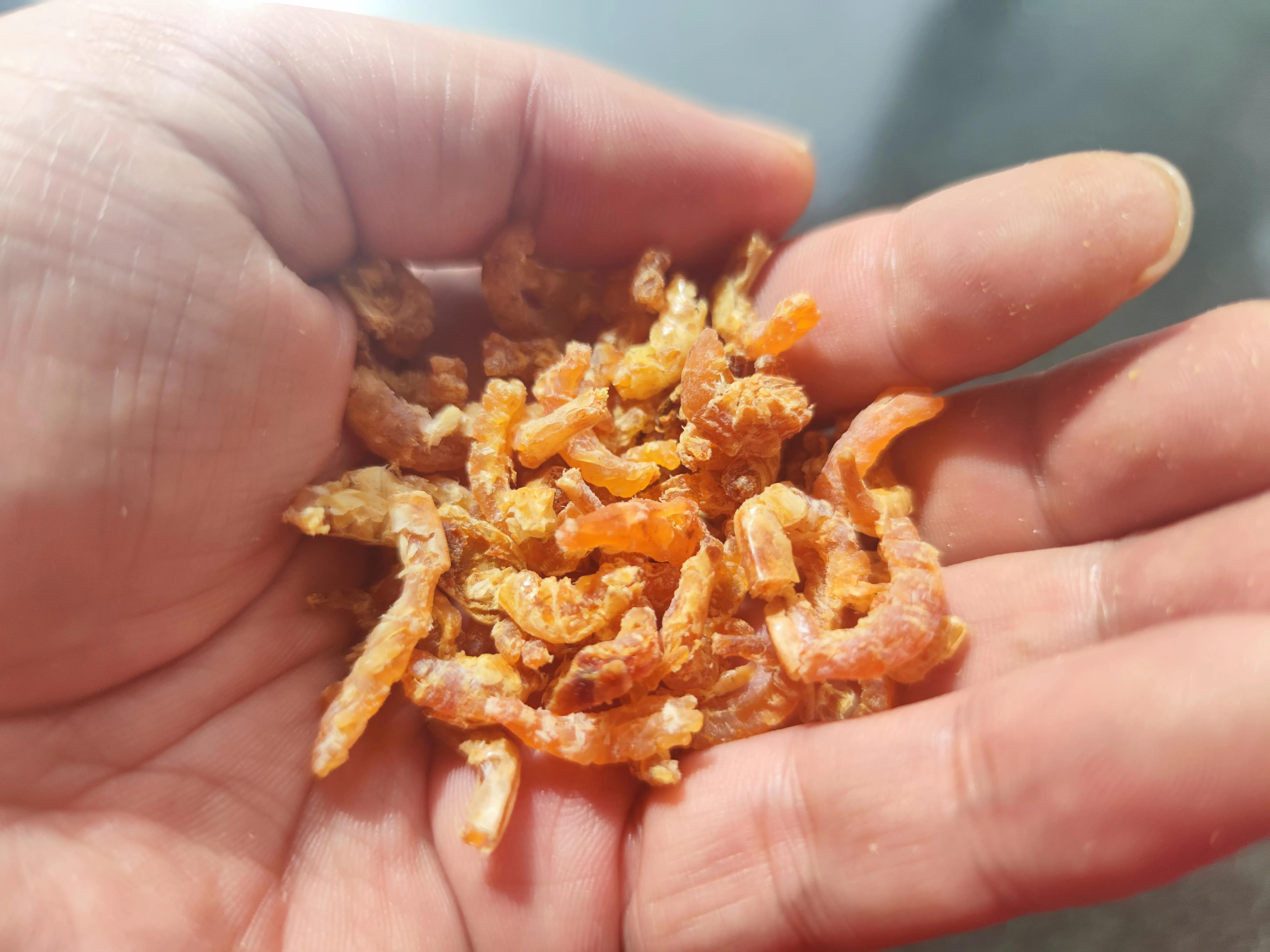 紧急提醒这5批次海鲜别买,海鲜黑幕揭秘