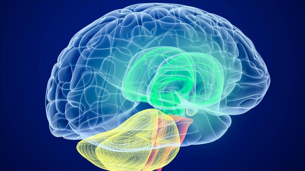 熬夜后感觉心脏累,熬夜之后的心脏疼可以恢复吗