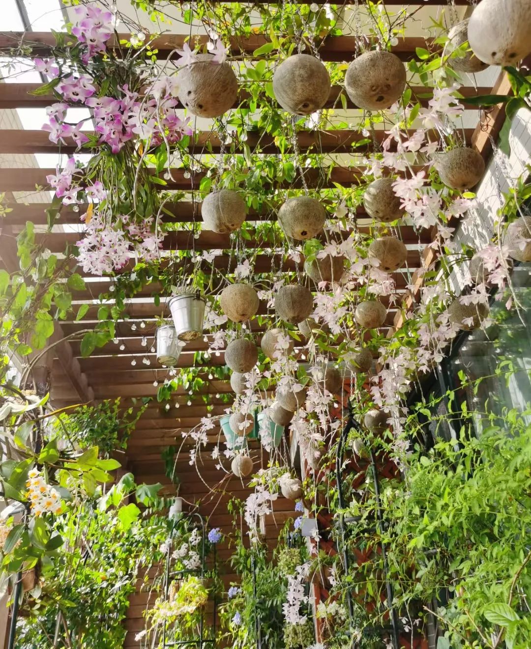 很多人羡慕的阳台,让别人羡慕的阳台