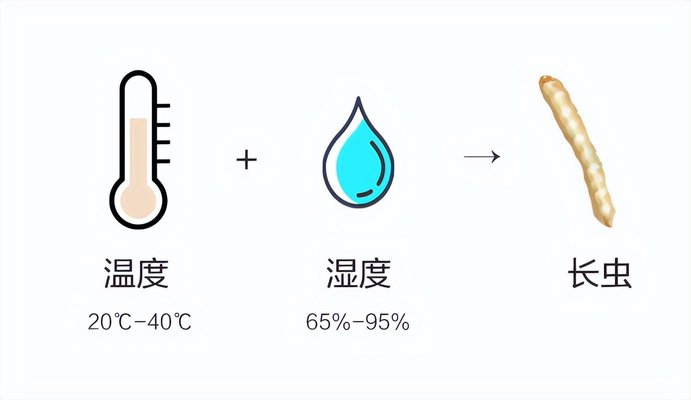 家里米面有虫子是怎么回事,米面有小小虫怎么去除最快方法