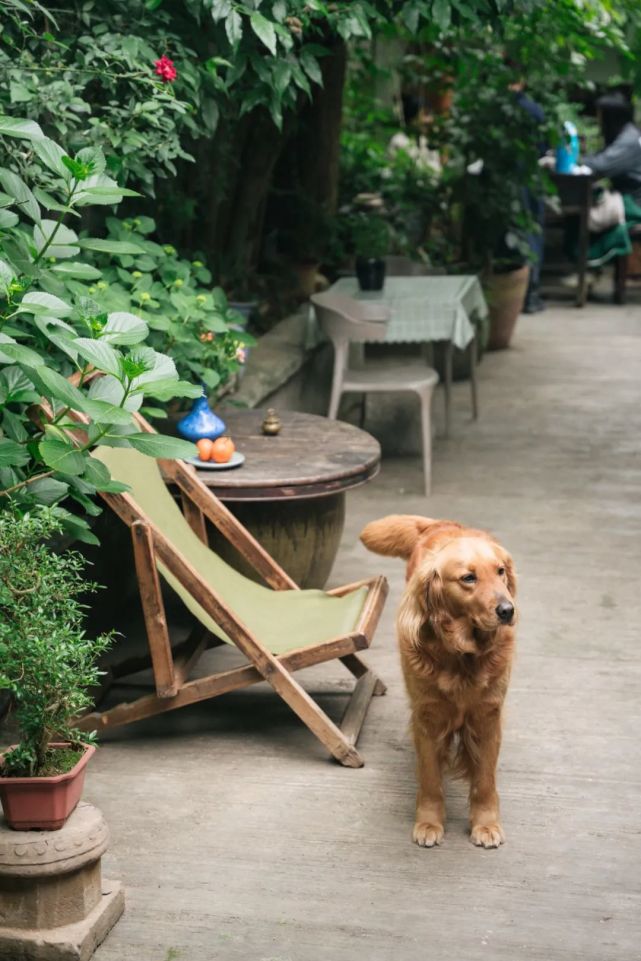 双流本土老字号珠宝店,双流百年老字号