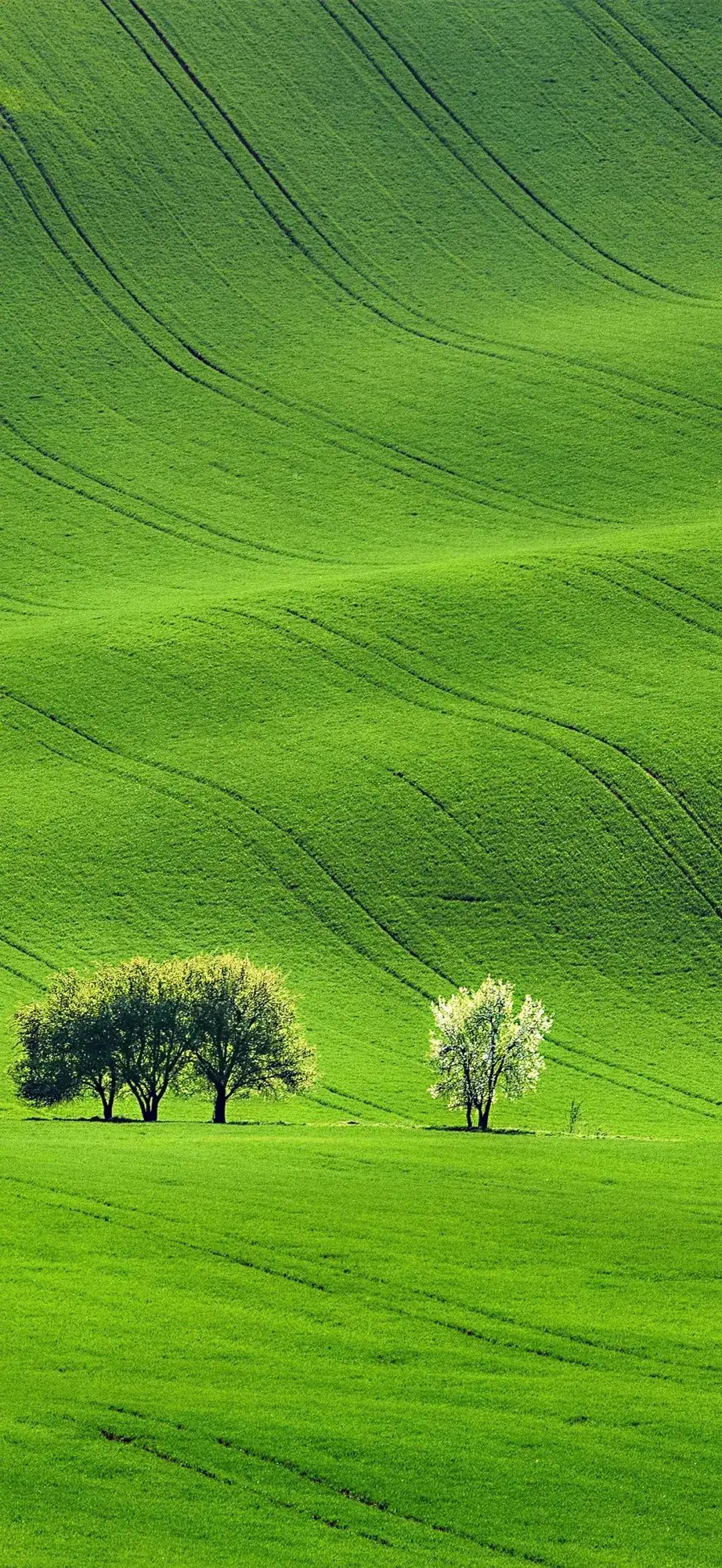 2023年02月27日星期一农历:癸卯年【兔年】二月初八八九第5天