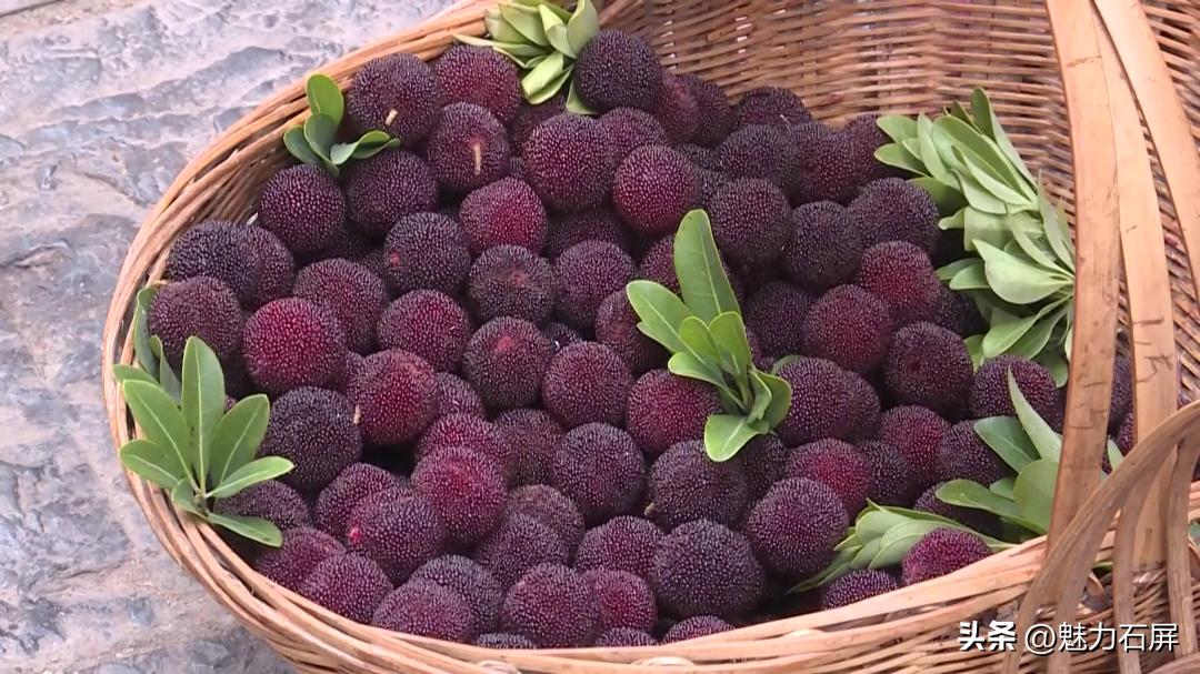 什么水果是你夏天的最爱,夏日果缤纷