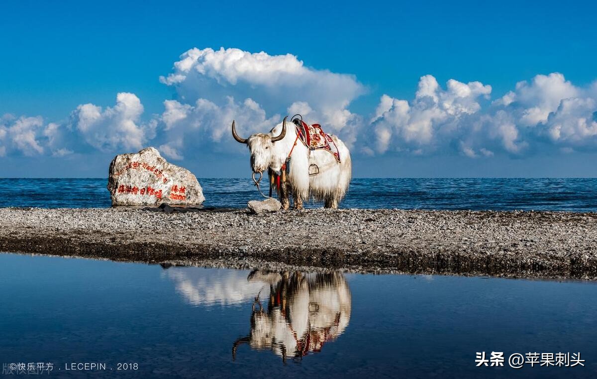 适合夏天避暑的旅游胜地附近,适合夏季避暑的旅游地方