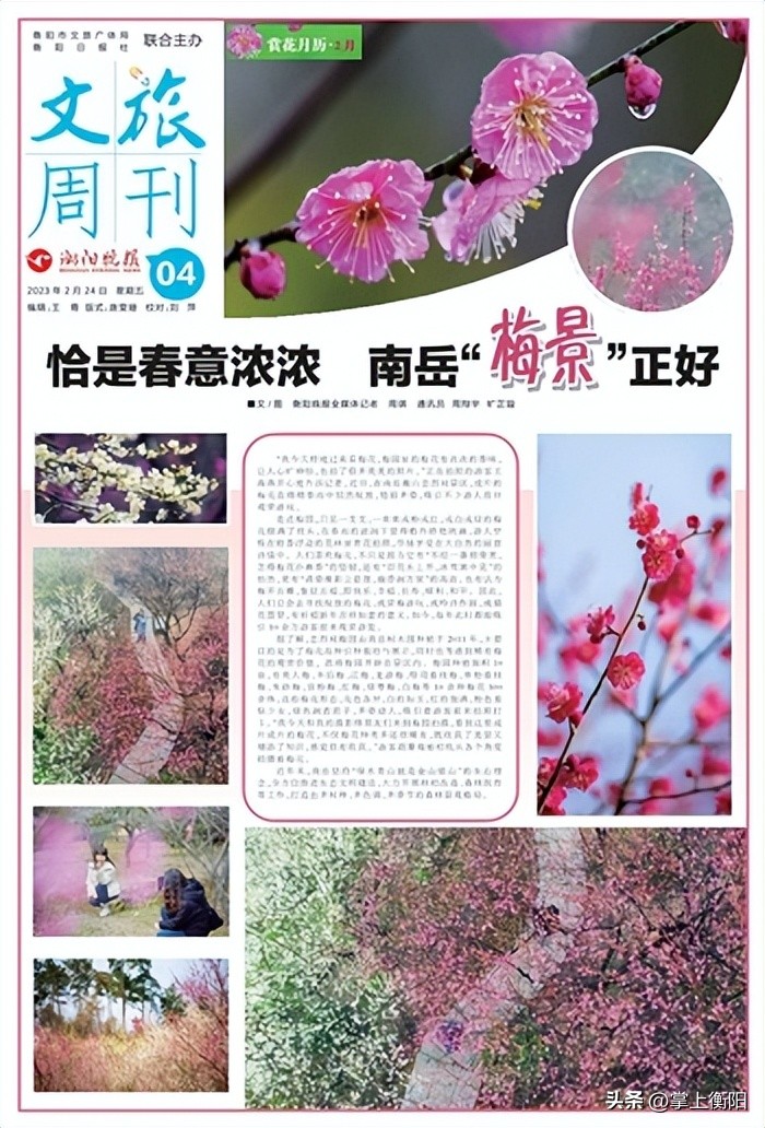 文旅周刊丨恰是春意浓浓，南岳“梅景”正好