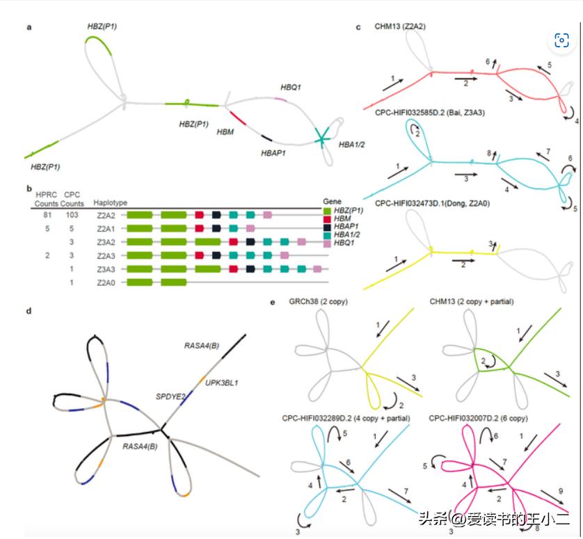 中国人基因图谱向世界公布，你们把西方想了多年都没成的事做了！