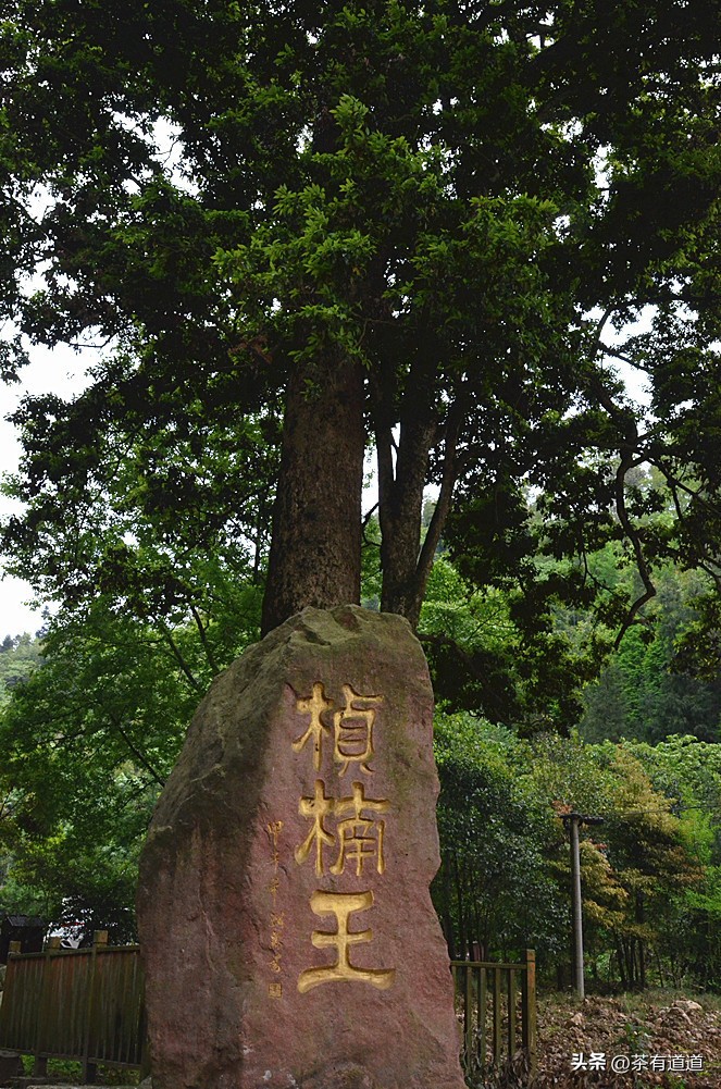 川藏南线茶马古道,四川荥经茶马古道路线图