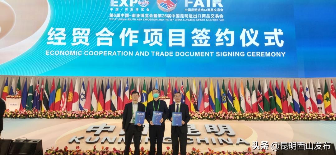 南博会签约项目明细表各地州,南博会非遗西山区