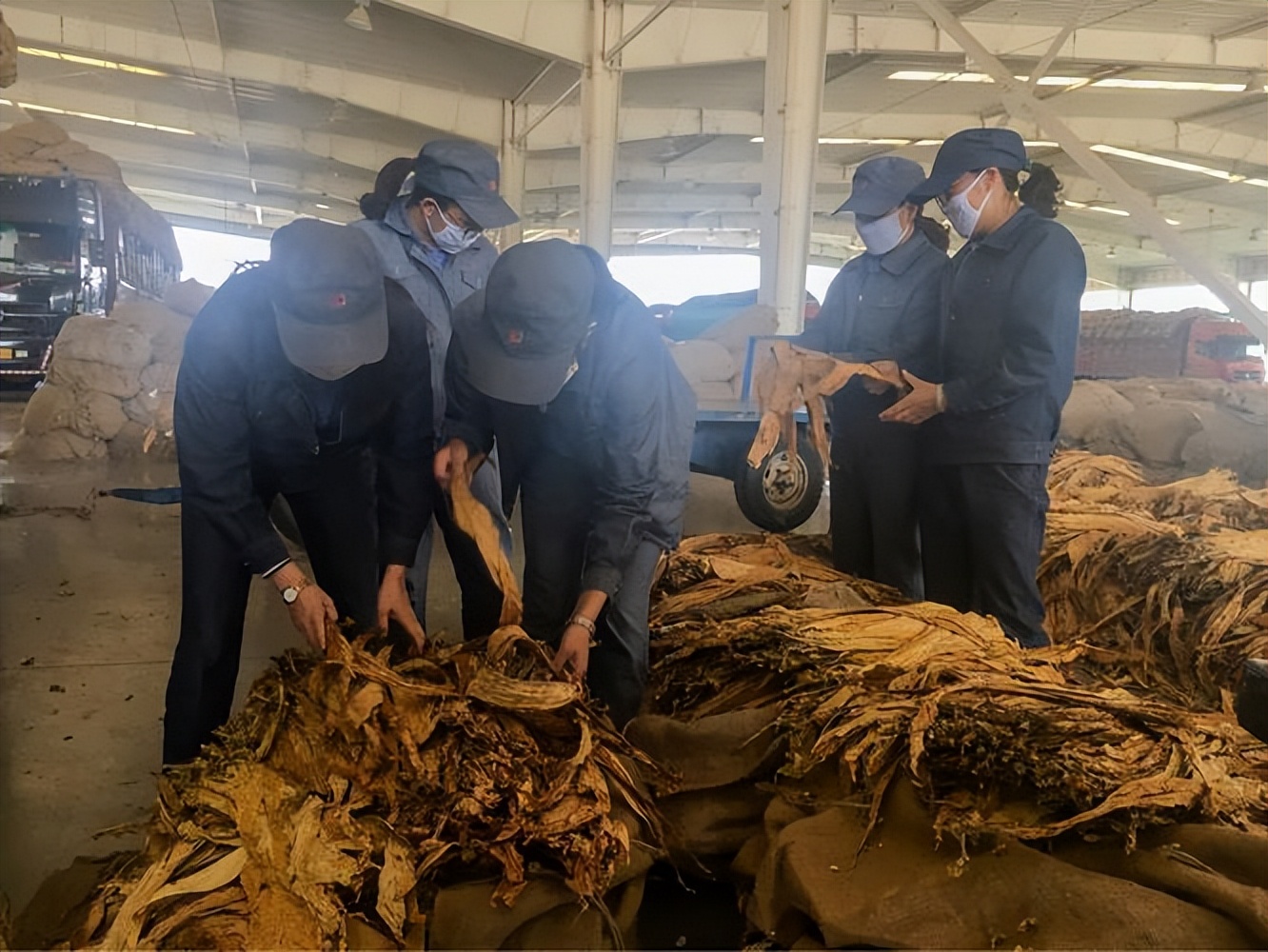 一支最便宜的雪茄多少钱,一口雪茄一套房子
