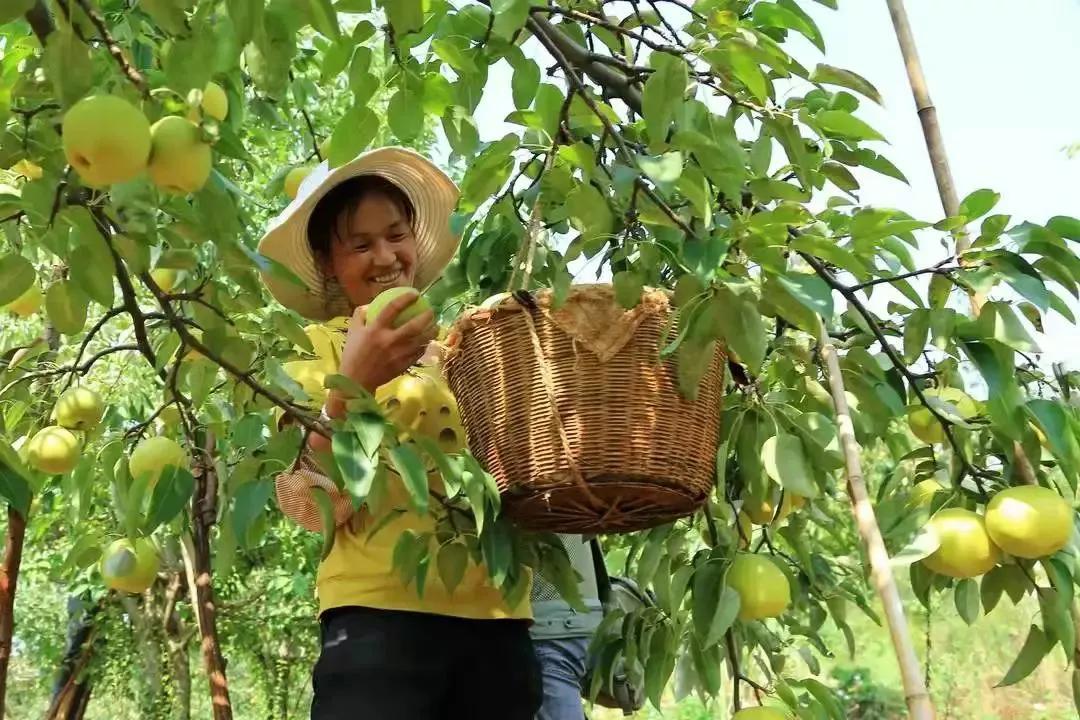 呈贡区新时代文明实践中心,新时代文明实践站社区文化活动