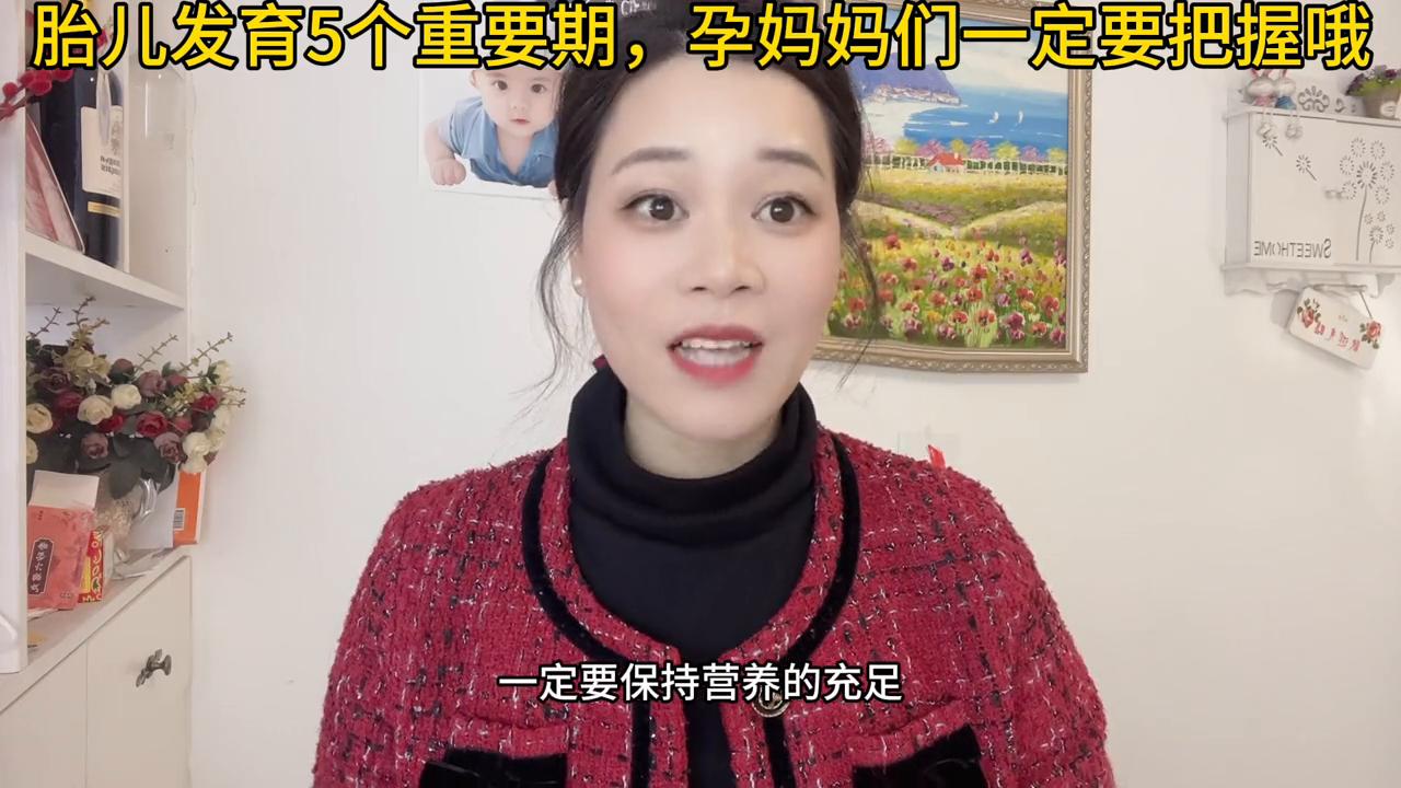 胎儿发育的五个关键期,孕早期你知道胎儿怎么发育的吗