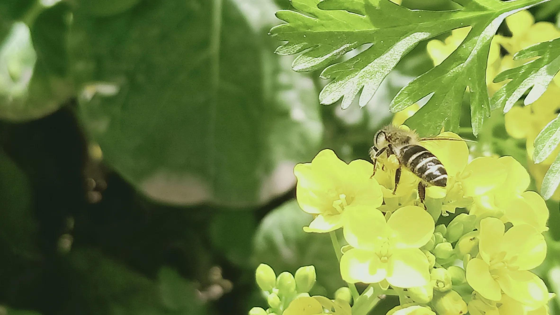 性是第一位的——女人会爱上多个男人合理吗因爱而性、因性而爱