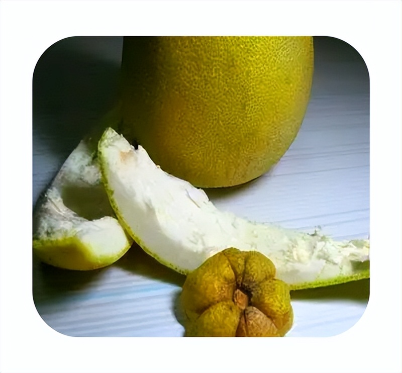 柚子皮能去除冰箱里的异味,柚子皮冰箱除异味的方法