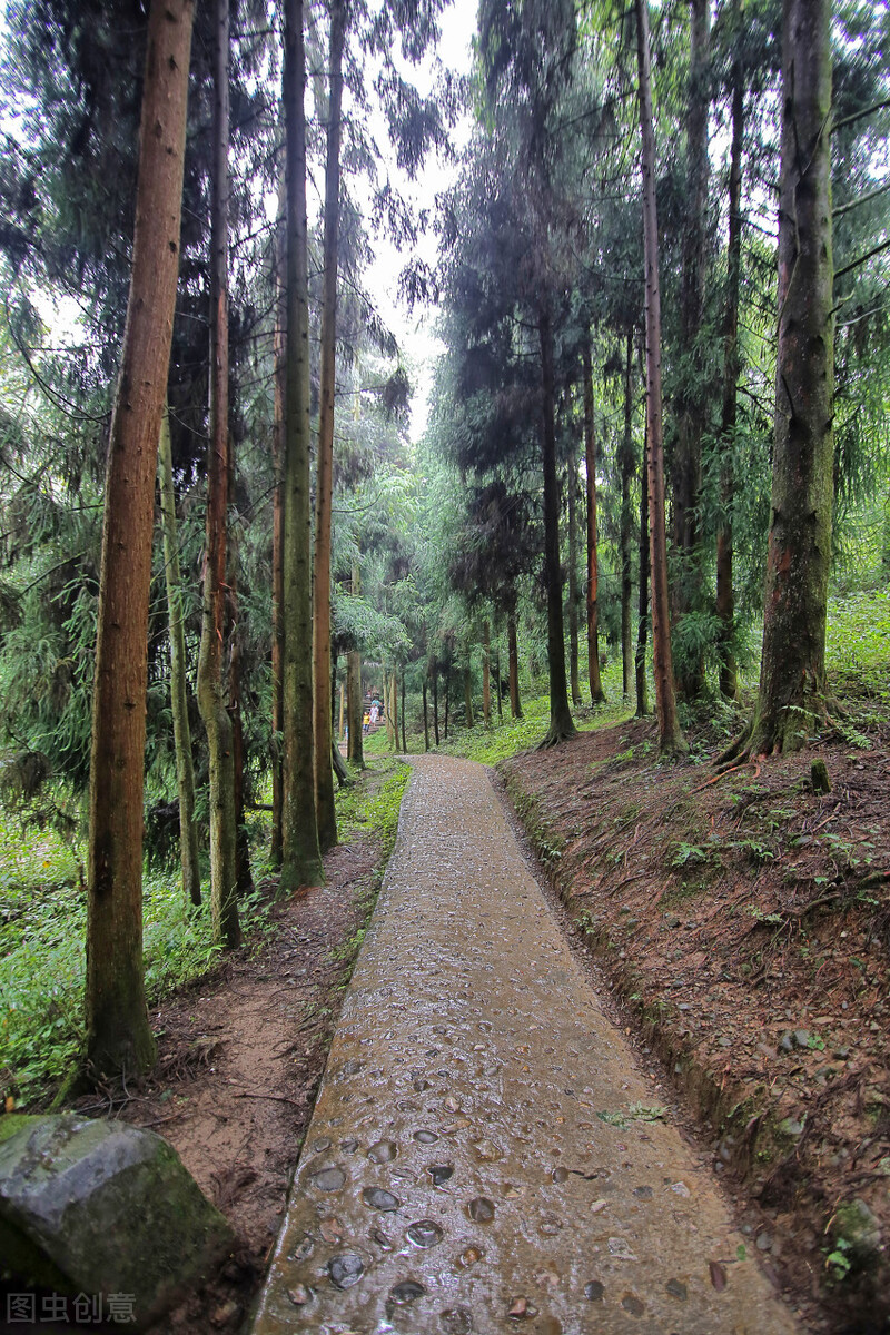 问道青城山，一座值得你爬了又爬的山