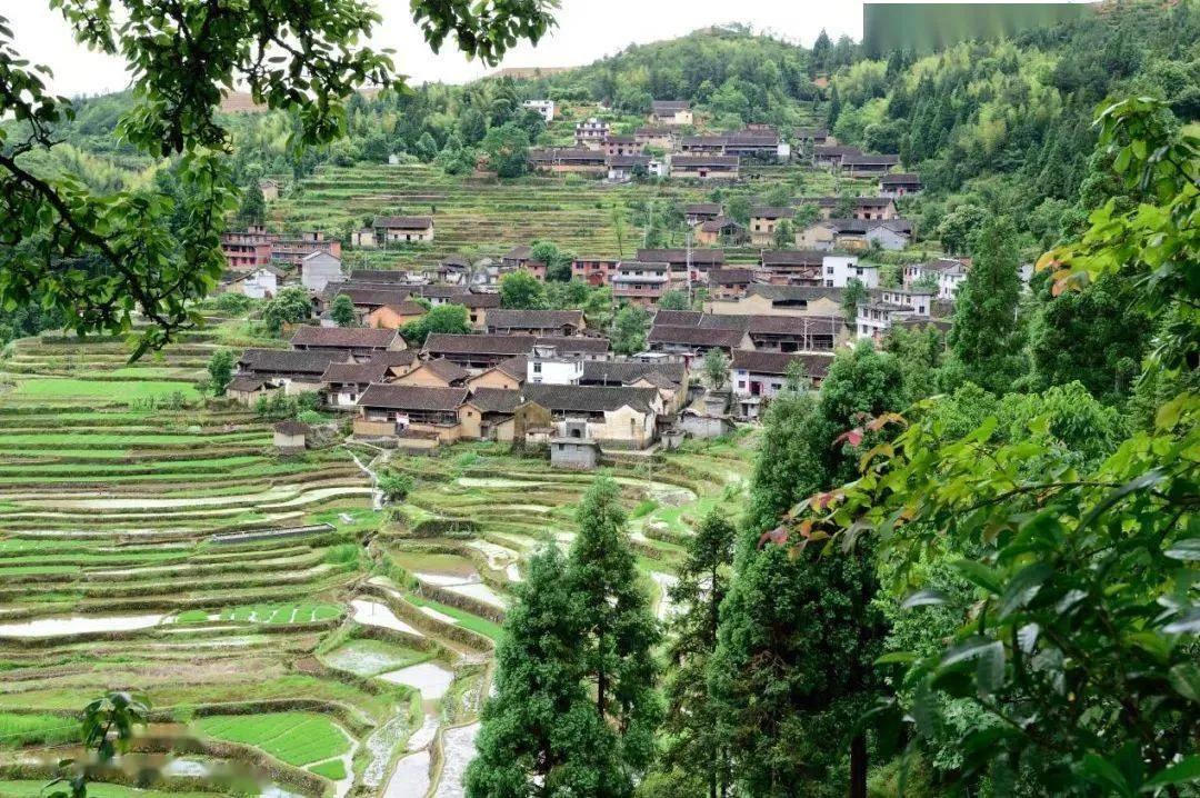 贵州省遵义市汇川区沙湾镇航拍,遵义市汇川区沙湾镇简介