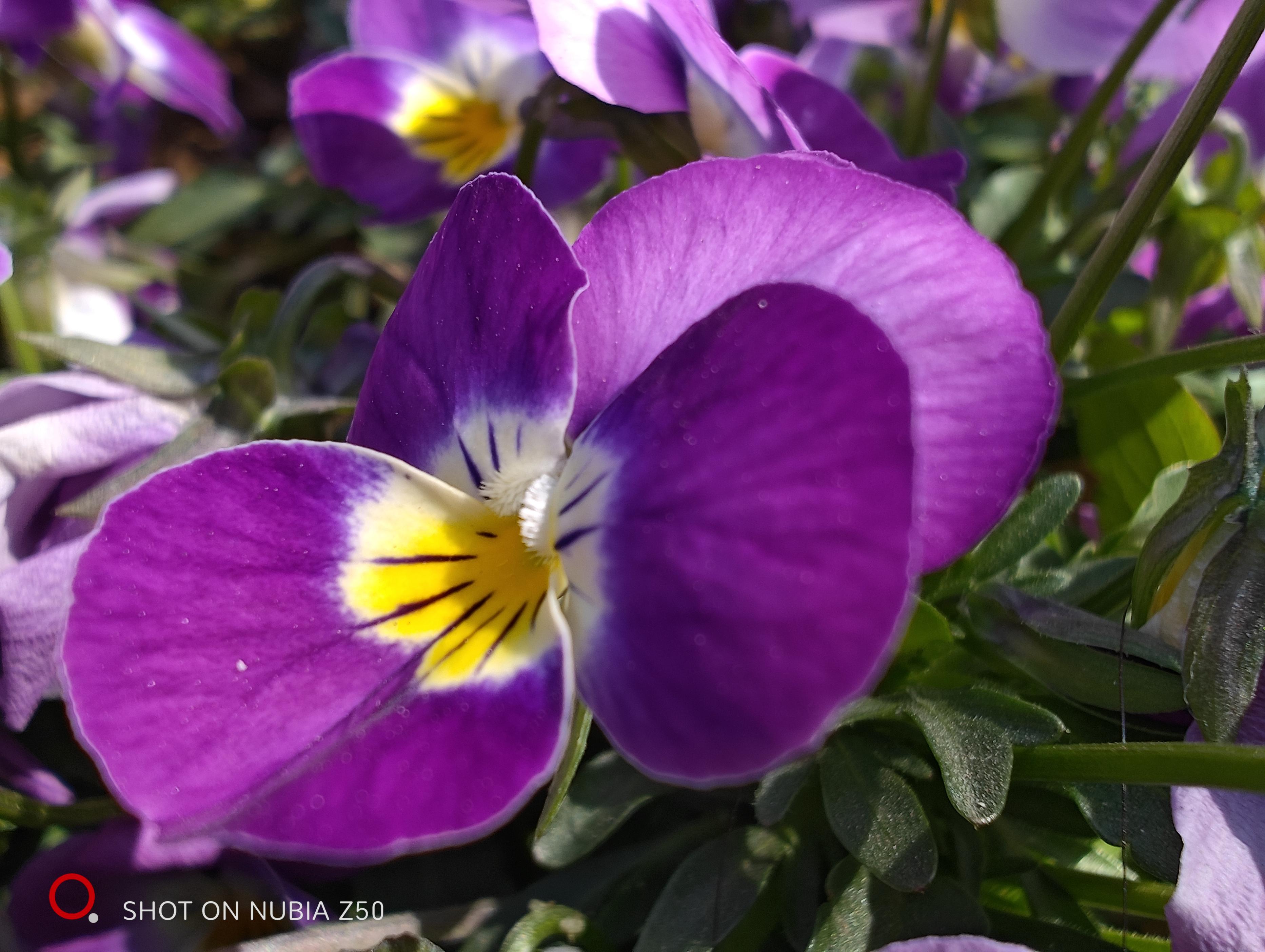 骁龙8Gen2手机值得购买吗,骁龙8gen2手机最新消息