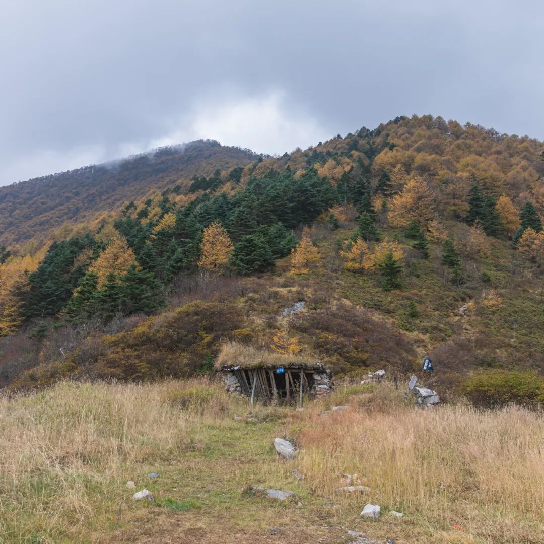 登太白山感受,太白山景区登顶拔仙台