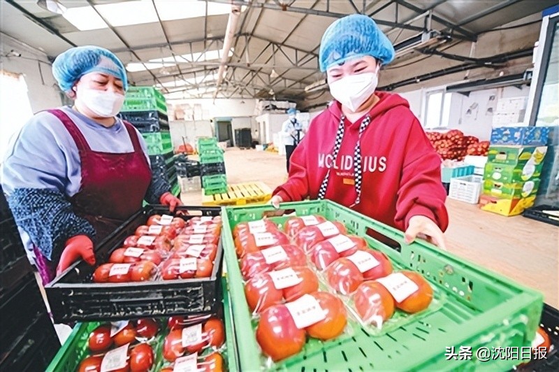 打通暖心服务的最后一公里,沈阳开启全方位暖心服务模式