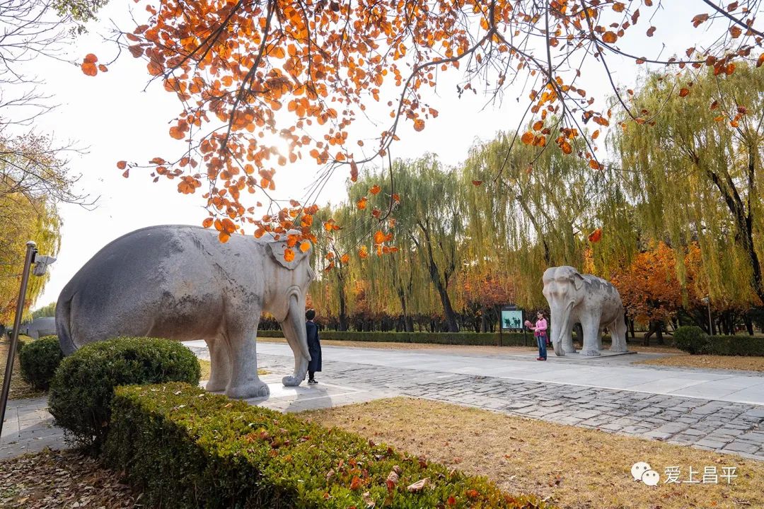 明文化村团购,明文化村门票优惠券