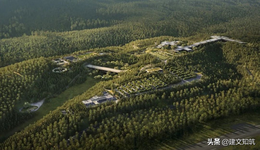 waf2023世锦赛,waf国内排名