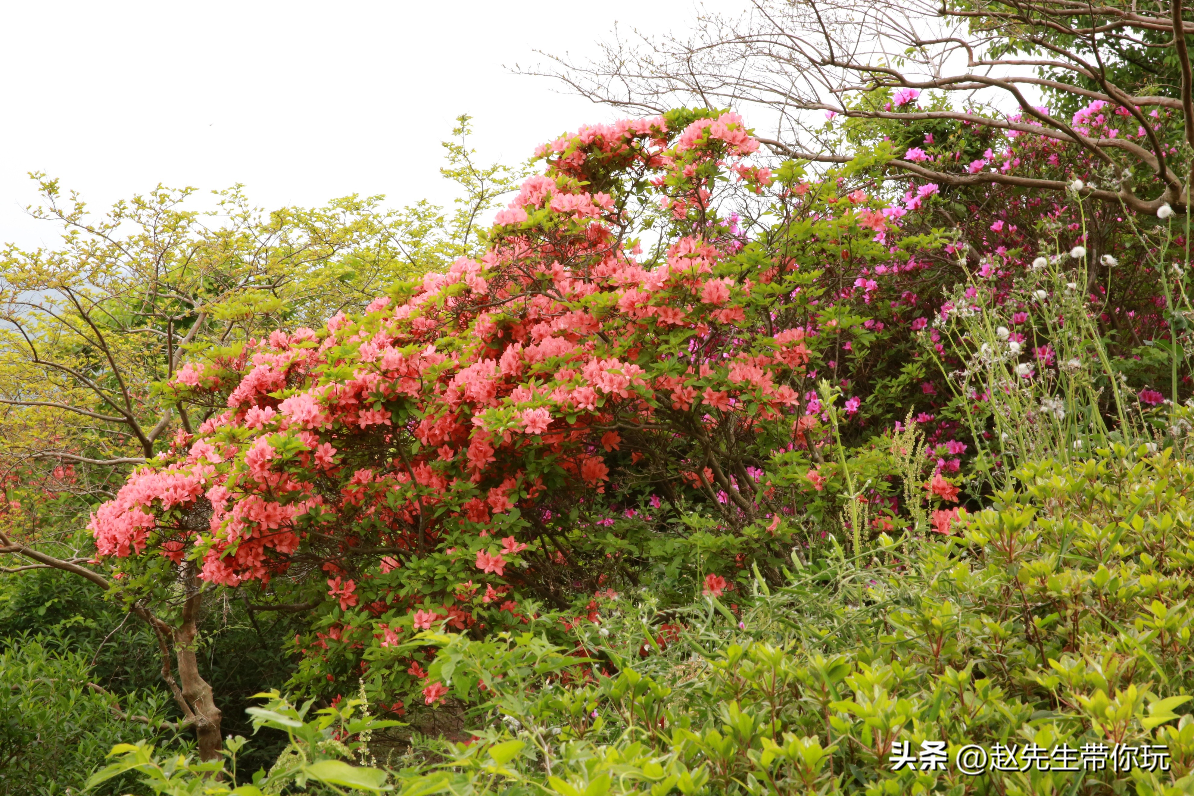 20年旅行总结,二十年游历分享