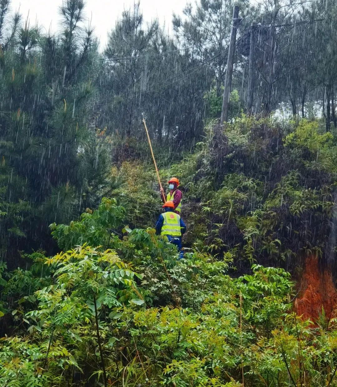 东航客机搜救现场画面,东航坠机搜救现场